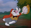 White Rabbit